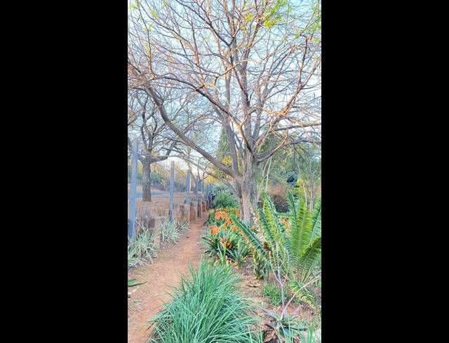 7 BEDROOM HOUSE FOR SALE IN SIGNAL HILL